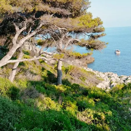 Calme Dans Avec Piscine Et Les Pieds Dans L'eau Apartment Roquebrune-Cap-Martin